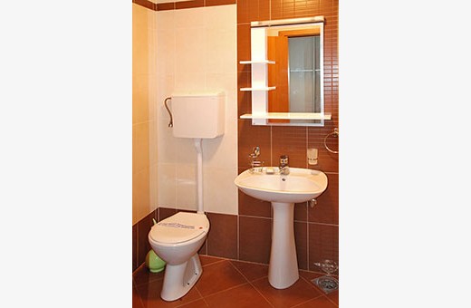 Bathroom, Apartment Andjela - Apartments Makojevic, Vrnjačka banja