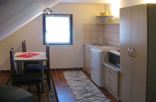 Studio 2 Kitchen, Apartments Nika - Zlatibor