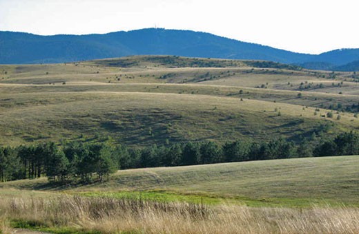 Okolina, Apartman Slobo - Zlatibor