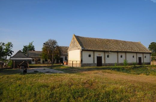 Brkin farmhouse - Čenej, Novi Sad