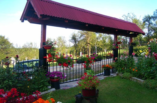 Yard, Household "Kod Kujića", Village Tripkova-Zlatibor