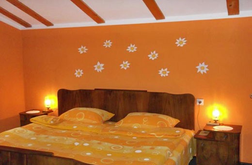 Orange apartment 1/2, Green House - Banja Vrdnik