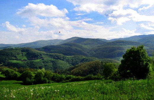 Landscape, Divčibare