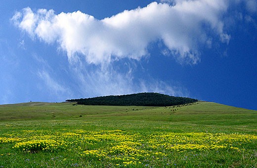 Landscape Zlatibor