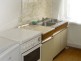 Apartment kitchen, Villa Sanja - Zlatibor