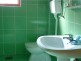 Bathroom, Household "Kod Kujića", Village Tripkova-Zlatibor