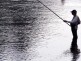 Fishing on the Drina river (Illustration)