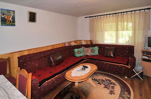 Living room, Households Pavlović, village Vlakča - Kragujevac