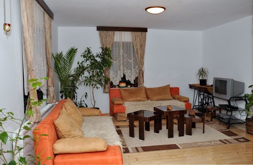 Lux apartment Living room, Villa Bogdanović - Stara Planina