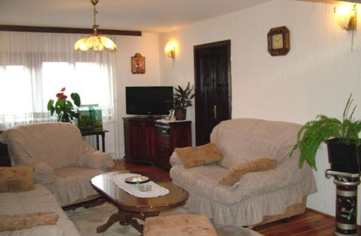 Apartment1 Living room, Apartments Marjanović - Zlatibor