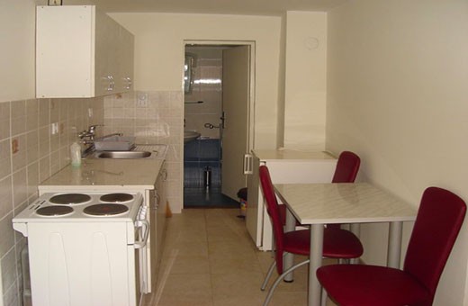 Kitchen, Apartment Panda - Vrdnik