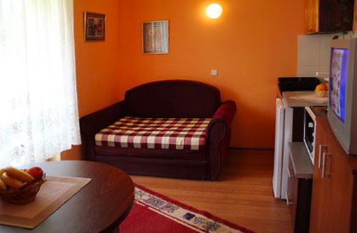 Apartments 1 Living room, Apartments Nika - Zlatibor