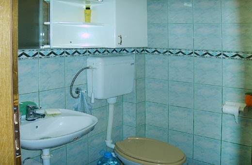 Bathroom, Apartment Milivojević - Zlatibor