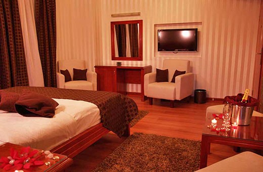VIP apartment, Villa Prezident - Sremski Karlovci