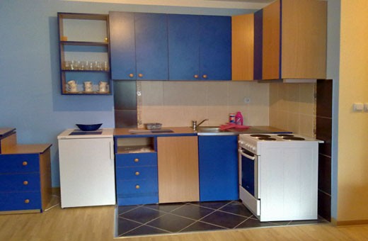 Kitchen, Apartment Djurić - Vrnjačka Banja