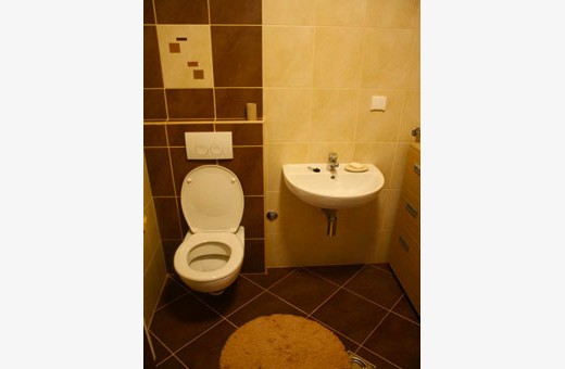 Bathroom, Apartment Deka - Zlatibor