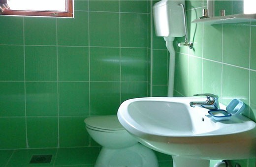 Bathroom, Household "Kod Kujića", Village Tripkova-Zlatibor