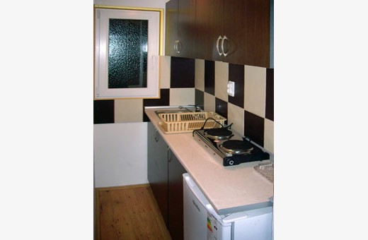 Apartment Kitchen, Accommodation Božinović - Sokobanja