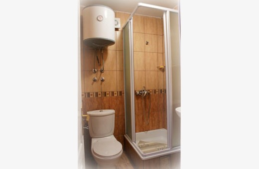 Brown apartment bathroom, Apartments Bahus - Vrdnik
