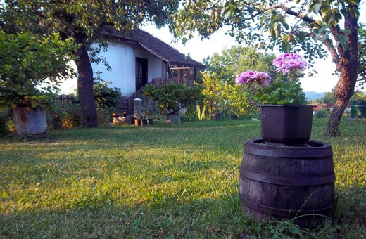 Garden, Households Pavlović, village Vlakča - Kragujevac