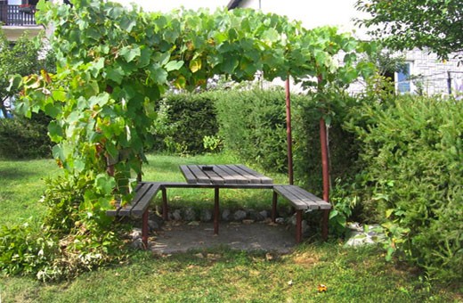 Garden, Villa Sanja - Zlatibor